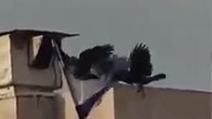 Natura dawno zrozumiała