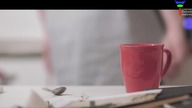 SYNESTEZJA (2017)