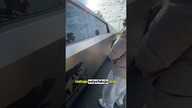 Friz vs stal nierdzewna w Tesli Cybertruck#tesla #cybertruck #danielgrzyb #friz