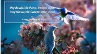 Audycja Wyzwolony - Dave Weiss
