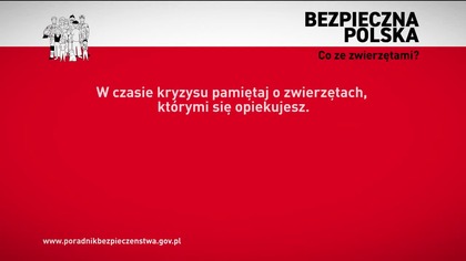 TVN7 - 11-12-2025 - Ogłoszenie nadawcy, Ogłoszenie społeczne, Ident, Reklama, Zapowiedzi, Sponsorzy