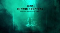 DOMIN   ROZWIŃ SKRZYDŁA FEAT  DJ ELEMENT PROD  FERU