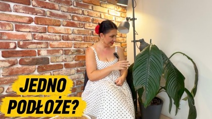 JEDNO PODŁOŻE DO WSZYSTKICH GATUNKÓW ROŚLIN! CZY TO MOŻLIWE?