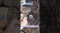 Jak wyglądają wykopaliska w Krasiejowie? #paleontologia