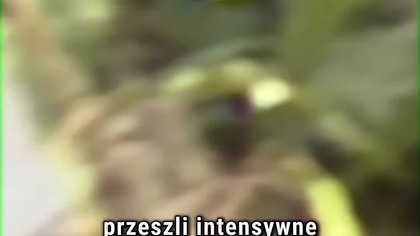 PREDATOR  oni przeszli rygorystyczny trening? #predator #arnoldschwarzenegger #alien