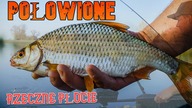 Połowiłem naprawdę dobrze - Rzeczne PŁOCIE na Feeder / Wyprawa jedna na milion :D