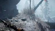 Far Cry Primal #14 Wytępienie Ulla