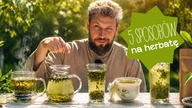 5 sposobów na jedną zieloną herbatę  Zmienisz smak jednym ruchem!