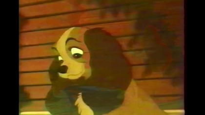 Zakochany Kundel Vhs..pVID-1743163720821 (1)