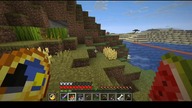 Im summoning the wolf because the previous one seems to have been lost in the portal #minecraft