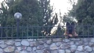 Nature zapowiedź filmu