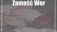 Zamość: Wernisaż i wystawa prac Agaty Woźniak-Niemkiewicz