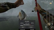 Fishing Planet vs. NiedzielnyW. - #65 - , Karpiki i nie tylko z Neherrin :)