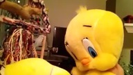 Papuga i Tweety