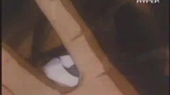Gundam Wing - 10 xvid