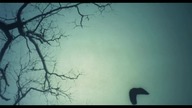 Film Polski.  - Sanatorium pod Klepsydrą.  (1973)