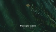 Słuchowisko.  Pogadajmy o życiu - #146 Dźwięki do snu
