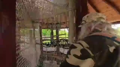 Safari Dvůr Králové nad Labem #safaripark #zoo