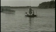 Tarpany-1961