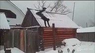 Popisy na rurce