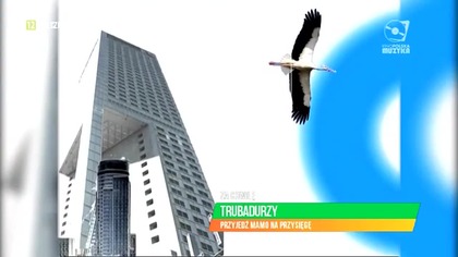 KINOPOLSKAMUZYKA - 01-11-2025 - Ident