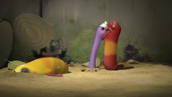 [Official] 90 MIN - LARVA- Season 1 Episode 1 ~ 52