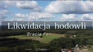 Gołębie od Braci Falkiewicz - likwidacja hodowli, sprzedaż gołębi - tel.  +48 601 479 848