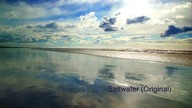 Saltwater (Original) by Chicane