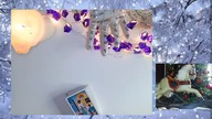 HOROSKOP do końca roku  Trygon wody TAROT  na żywo! 