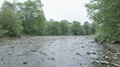 10H Shallow Forest River &ndash; Relaksujący Szum Płytkiej Rzeki
