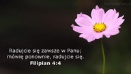 Janek Pajor - Twój pokój będzie jak rzeka