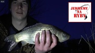 Zimowy wędkarski wieczór  - Mikro-pellet, picker i ładne brania o zmroku  - Wędkarstwo Gruntowe