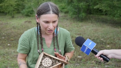 Domki dla owadów zapylających  jak zbudować i gdzie ustawić?