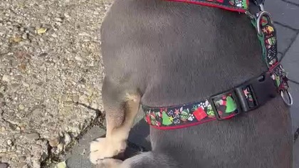 Nic tu się nie dzieję!? Ale nudy.