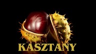 Kasztany