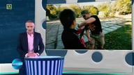 Galileo. 563. PDTV. RiP. MaKaRoN. avi