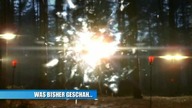 Primeval. S01E04.pl. DVDRip. XViD