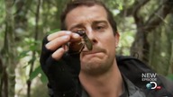 Man. vs. Wild. s07e05. Land. of. the. Maori. 720p