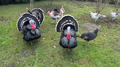 Tak się żyje na tej wsi