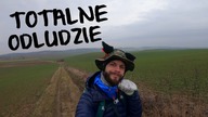 Góry Kocie