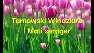 Windy Lift Service (kl.  2, 3, 4) i Winda Zremb (kl.  1) - Pułaskiego 9, Rzeszów