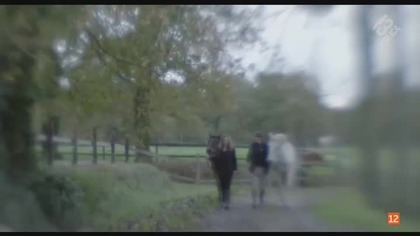 Morderstwa w Brocéliande Meurtres à Brocéliande. LInconnu de Brocéliande. 2016.pl