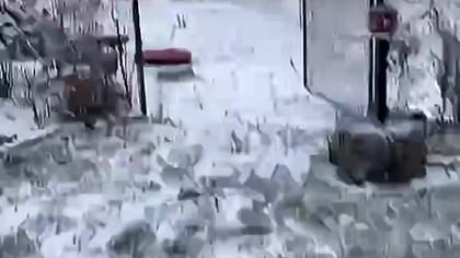 Secik na spacerku, po śniegu.