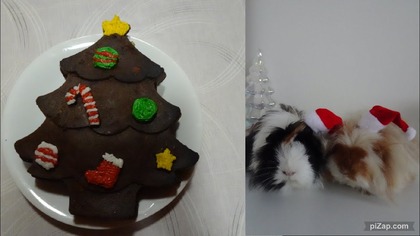 Vlogmas 21 Pieczemy Piernika na święta