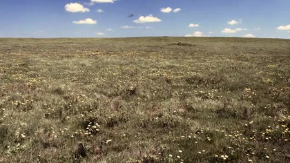 07.  Piekło na Kołach - Hell. on. Wheels. S03E07.pl. western