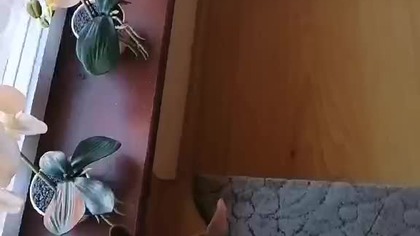 1a07d699-c41b-4f7f-be5c-aedee48edf7b