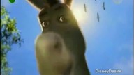 Pada Shrek 1/3 PL