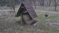 Śnieg