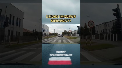 Wyprzedzał eLkę i ją otarł.  Dziwny manewr.  #elka #naukajazdy #droga #polscykierowcy