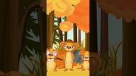 Cztery Pory Roku - Piosenka dla dzieci | Dziecko TV